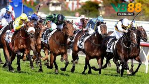 Đua Ngựa